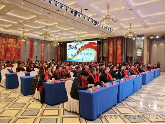 2026亳州中药大健康产业高质量发展大会暨安徽省中药材商会年度表彰会成功举办 